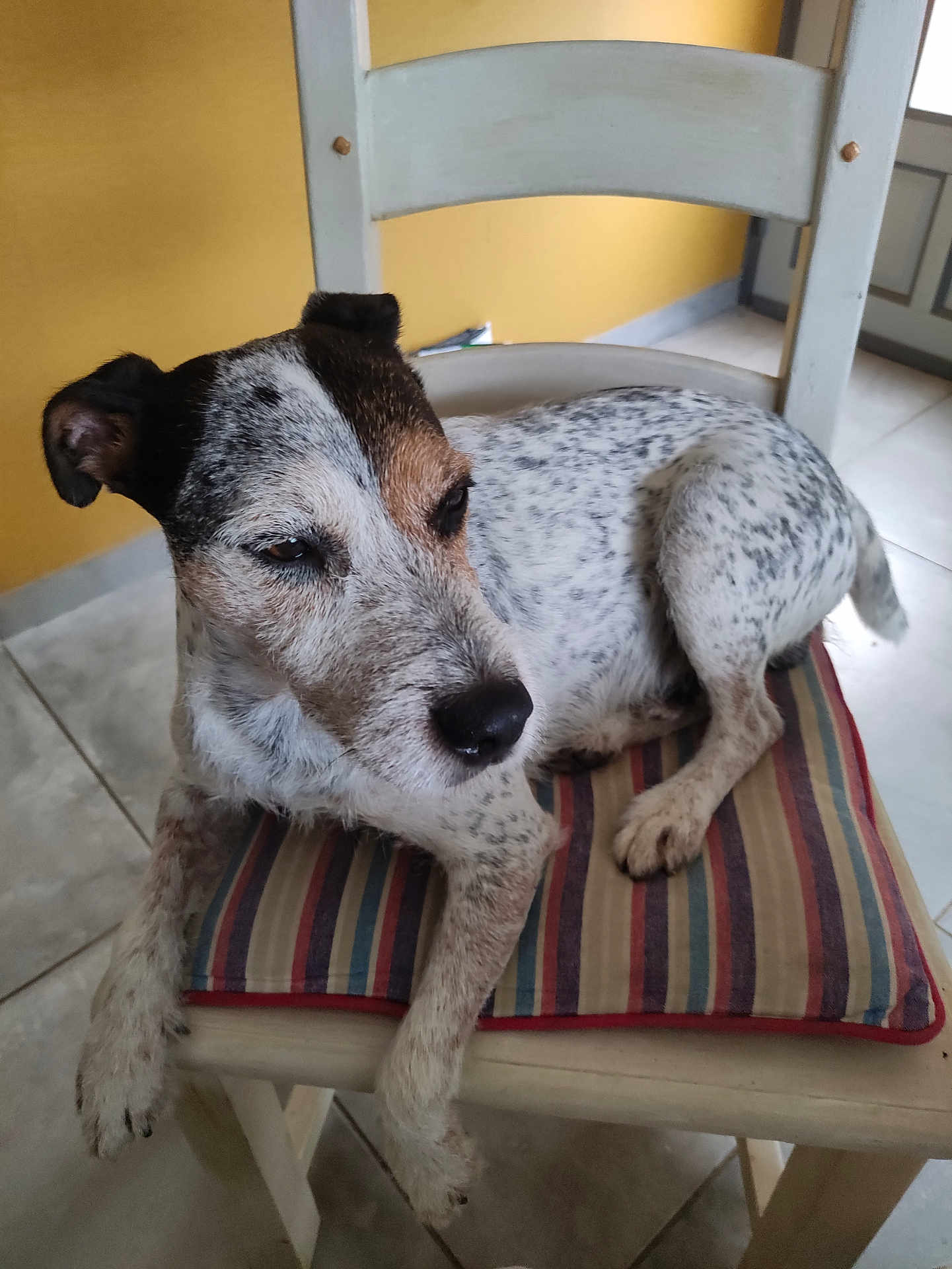 Otto