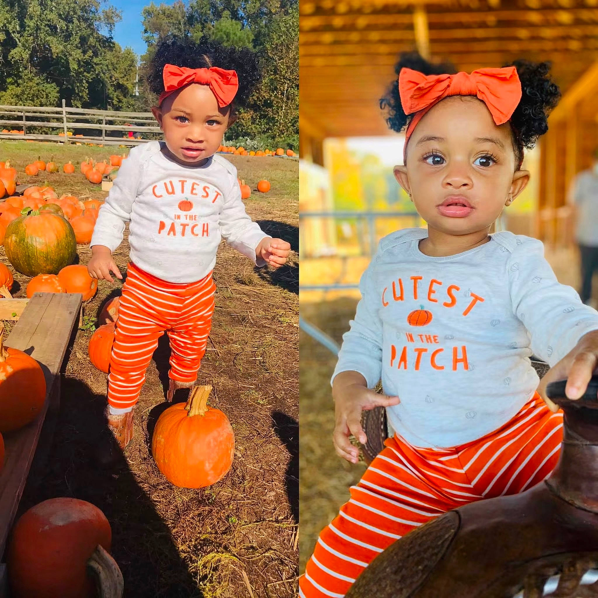 Hailey joined the competition — help win amazing prizes! autumn, baby, baby_toddler_clothing, calabaza, child, costume, headwear, orange, person, plant, pumpkin, toddler, trick_or_treat