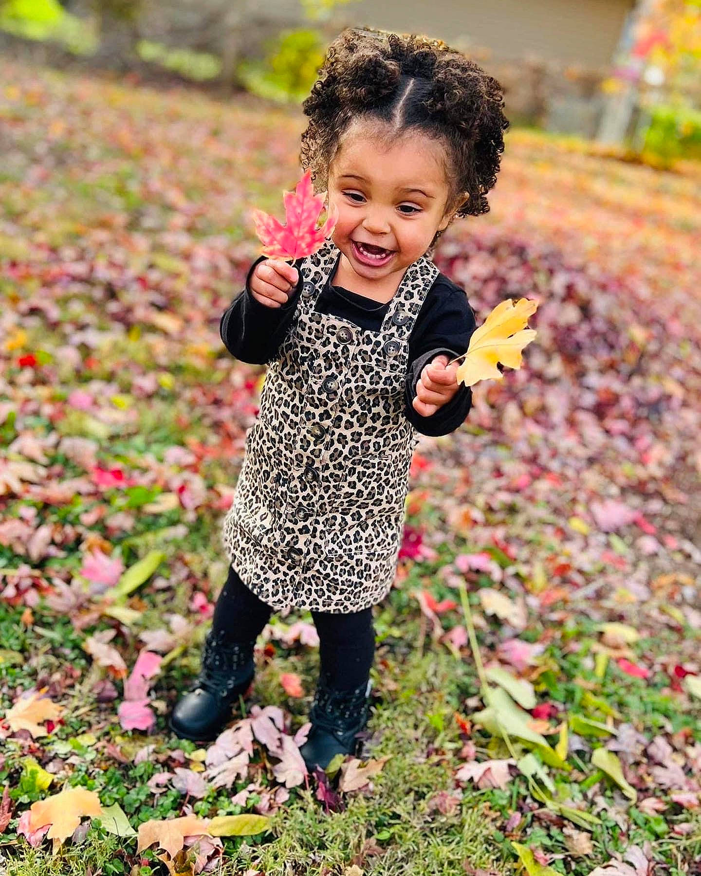 Keira joined the competition — help win amazing prizes! autumn, baby, baby_toddler_clothing, botany, child, deciduous, fun, garden, grass, happy, leaf, natural_landscape, pattern, people_in_nature, person, plant, portrait_photography, smile, soil, toddler