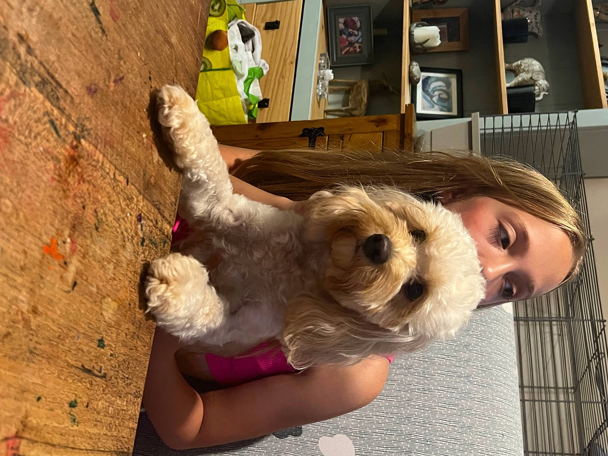 Nala is registered to the contest to win money with this photo: canidae, companion_dog, costume, doll, eyewear, fawn, fur, hair_coloring, plush, selfie, sporting_group, stuffed_toy, toy, wig, wood, wool