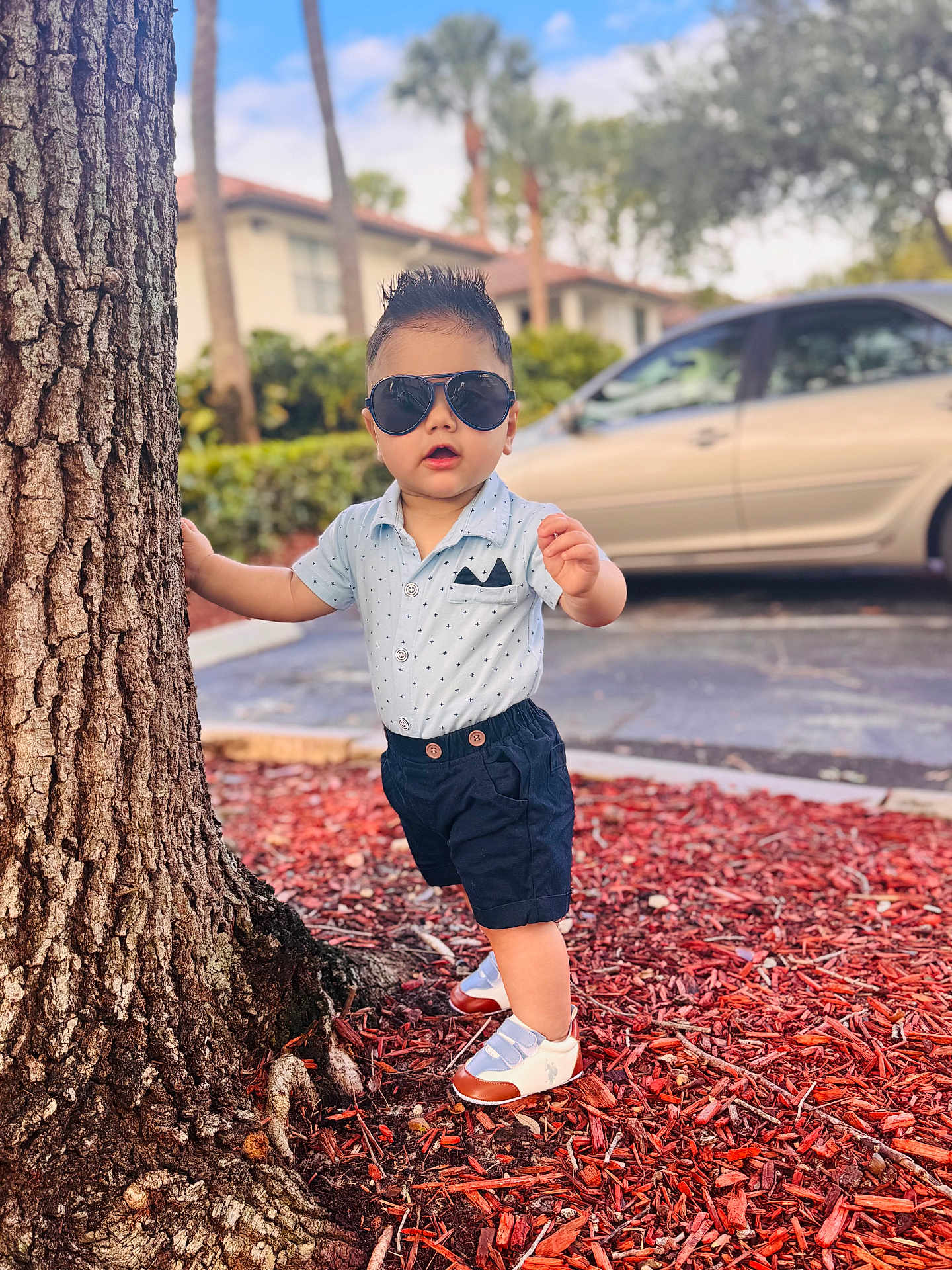 Bryan joined the competition — help win amazing prizes! toddler, child, tree, sunglasses, shorts, shirt, shoes, outdoor, daylight, car, sidewalk, mulch, greenery, residential, person, standing, fashion, cute, hairstyle, summer