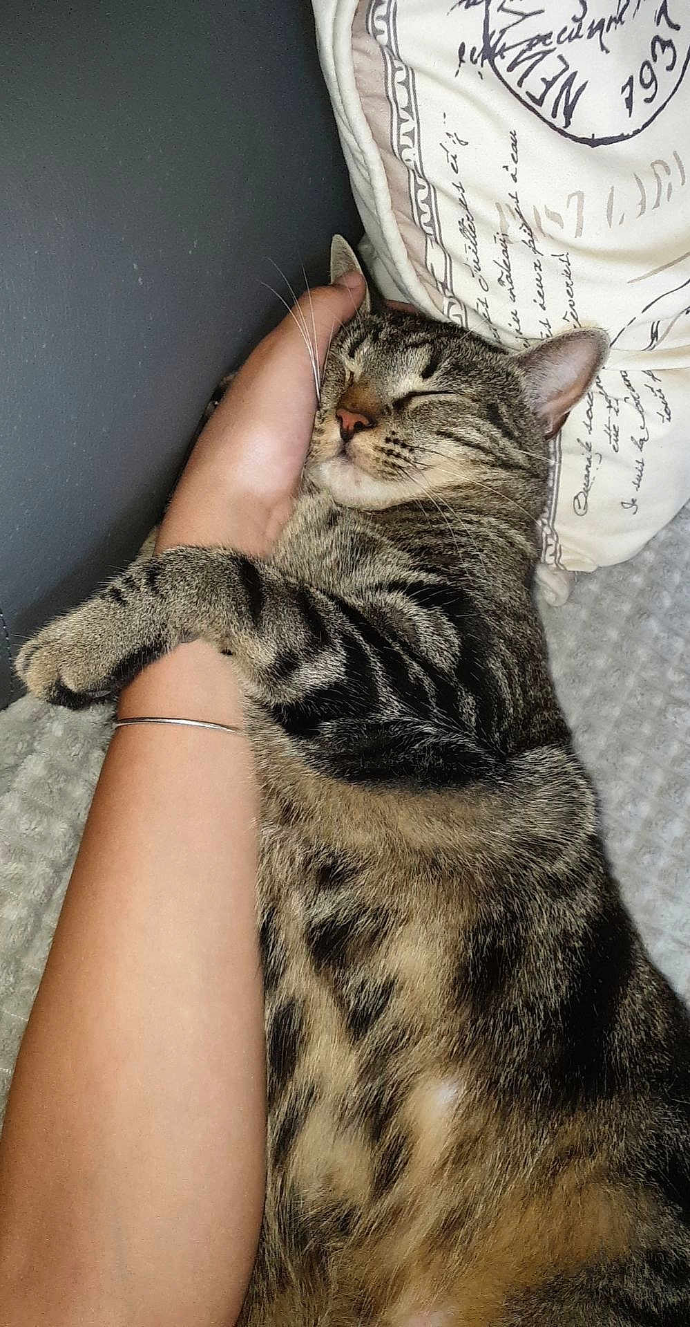 Kiki