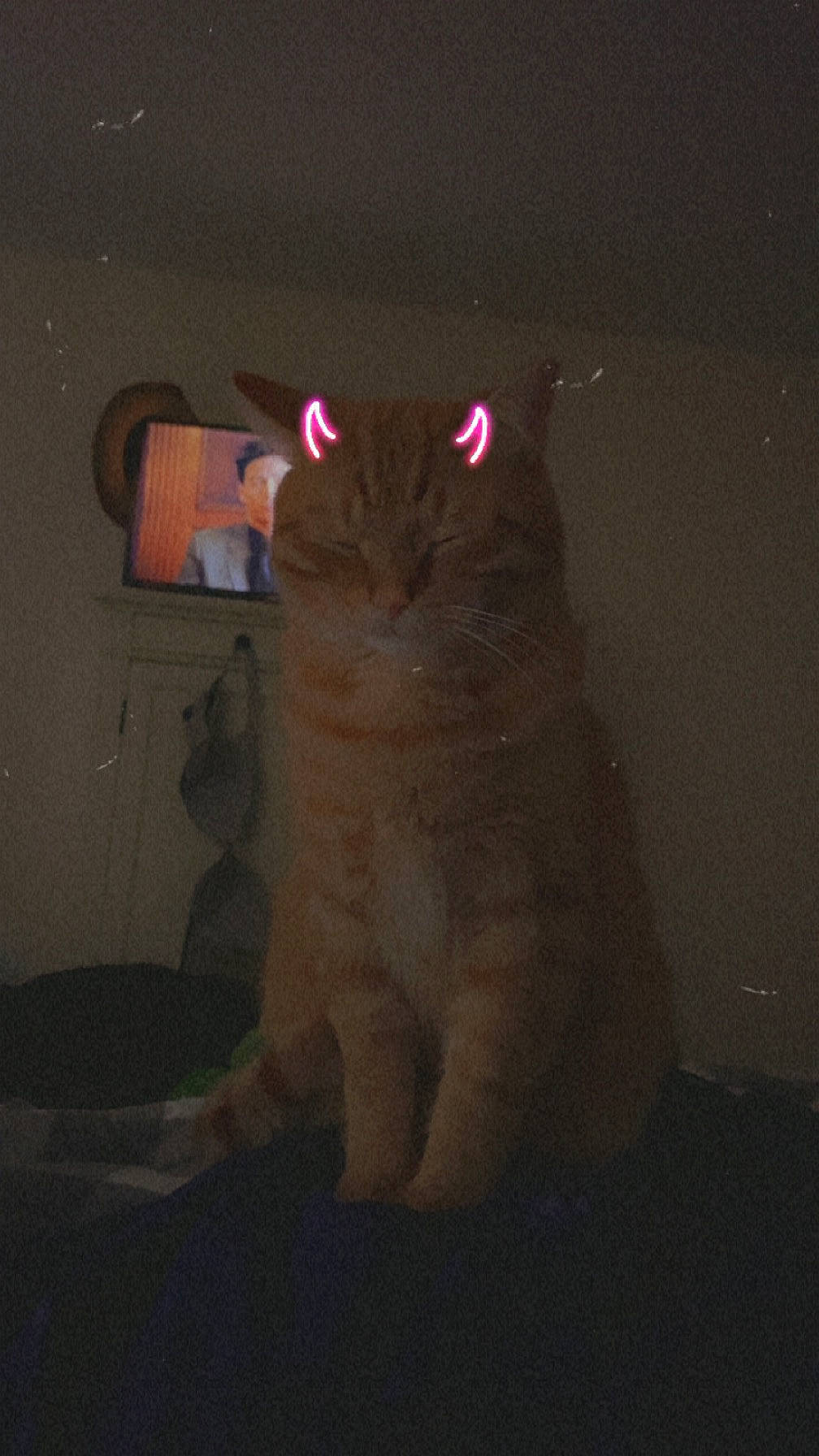 Orange Pineapple joined the competition — help win amazing prizes! black_cat, carnivore, cat, darkness, domestic_short_haired_cat, fawn, felidae, fur, magenta, midnight, night, paw, shadow, small_to_medium_sized_cats, snout, space, tail, terrestrial_animal, whiskers, window