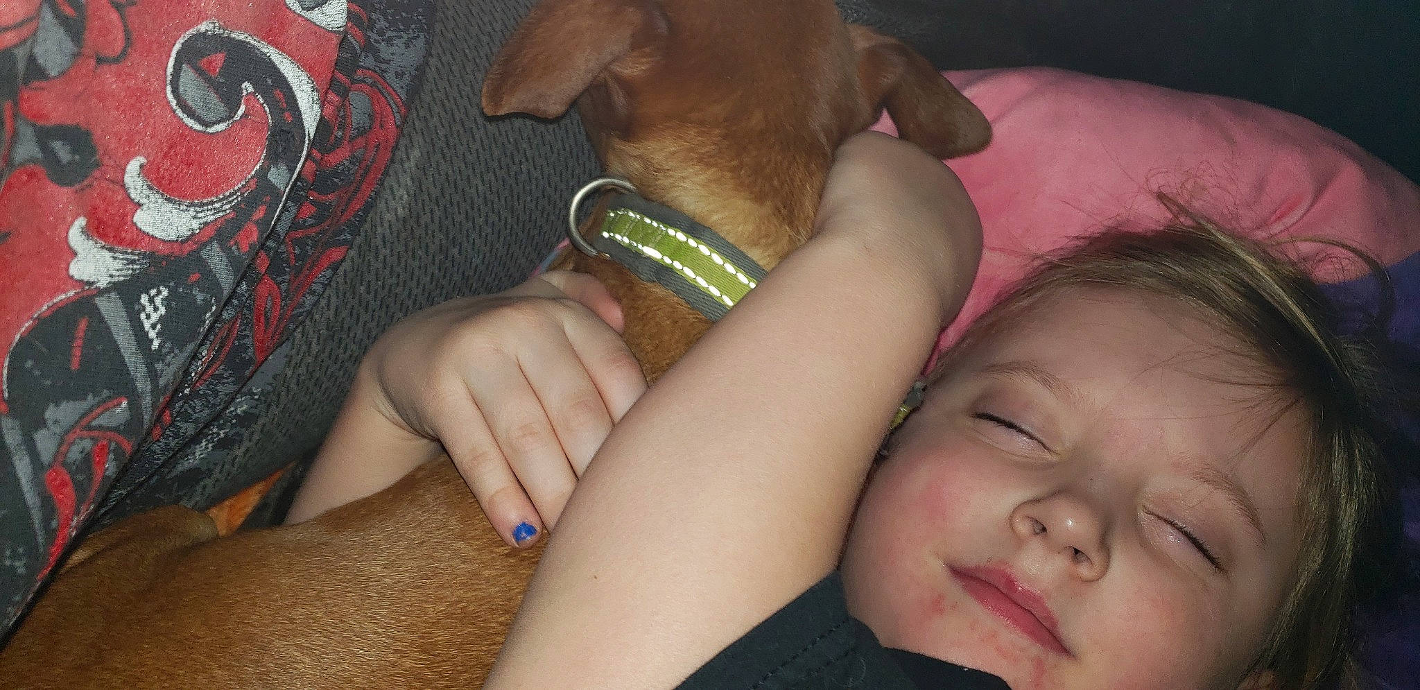 Emily Rose joined the competition — help win amazing prizes! canidae, child, ear, fawn, finger, hand, mouth, nail, nap, person, skin, sleep, sporting_group, vizsla