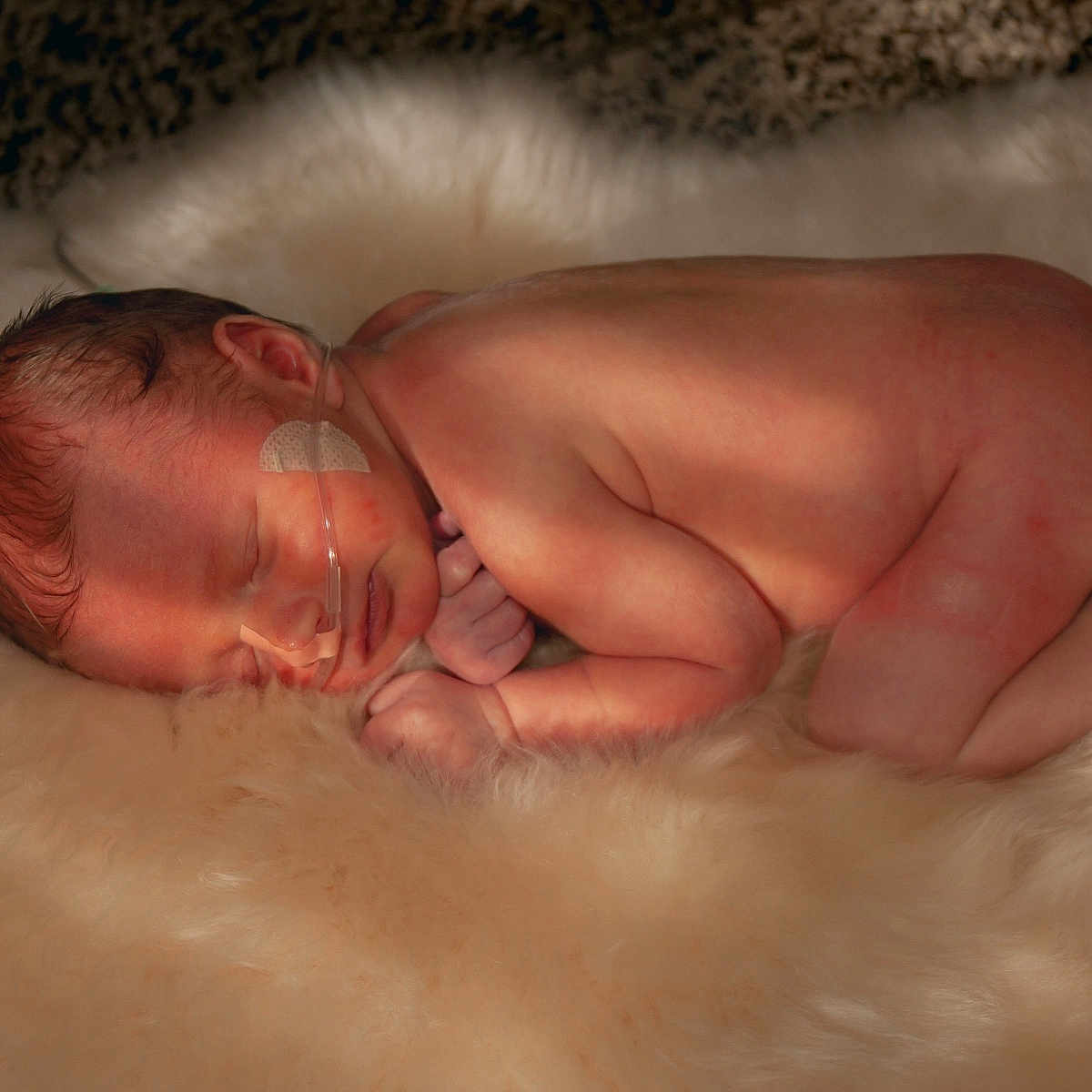 Harlow joined the competition — help win amazing prizes! baby, back, bodypart, face, finger, hand, head, newborn, person, photography, portrait