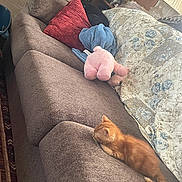 Simba is registered to the contest to win money with this photo: kitten, cat, couch, pillows, blanket, stuffed_animal, quilt, lamp, shelf, home_interior, cozy, sleeping, brown, orange, furniture, indoor, relaxing, decor, living_room, pet