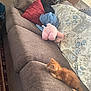 kitten, cat, couch, pillows, blanket, stuffed_animal, quilt, lamp, shelf, home_interior, cozy, sleeping, brown, orange, furniture, indoor, relaxing, decor, living_room, pet