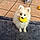 Copito