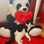 Kebab participe au concours pour gagner de l'argent avec cette photo : bear, canidae, carnivore, ear, fur, games, plush, stuffed_toy, tail, teddy_bear, textile, toy