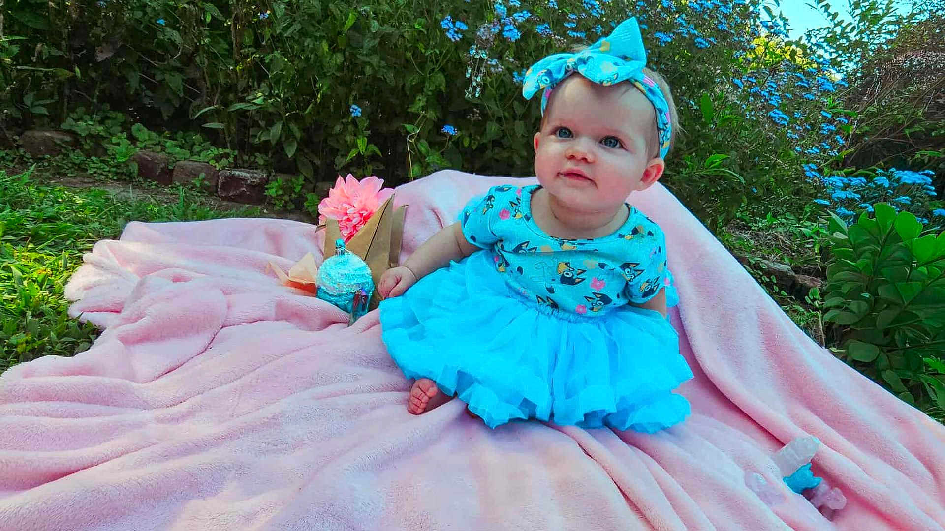 Dahlia is registered to the contest to win money with this photo: baby, child, blue_dress, headband, pink_blanket, outdoor, grass, flowers, greenery, cute, sitting, portrait, sunlight, nature, garden, infant, smile, tutu, headwear, playtime