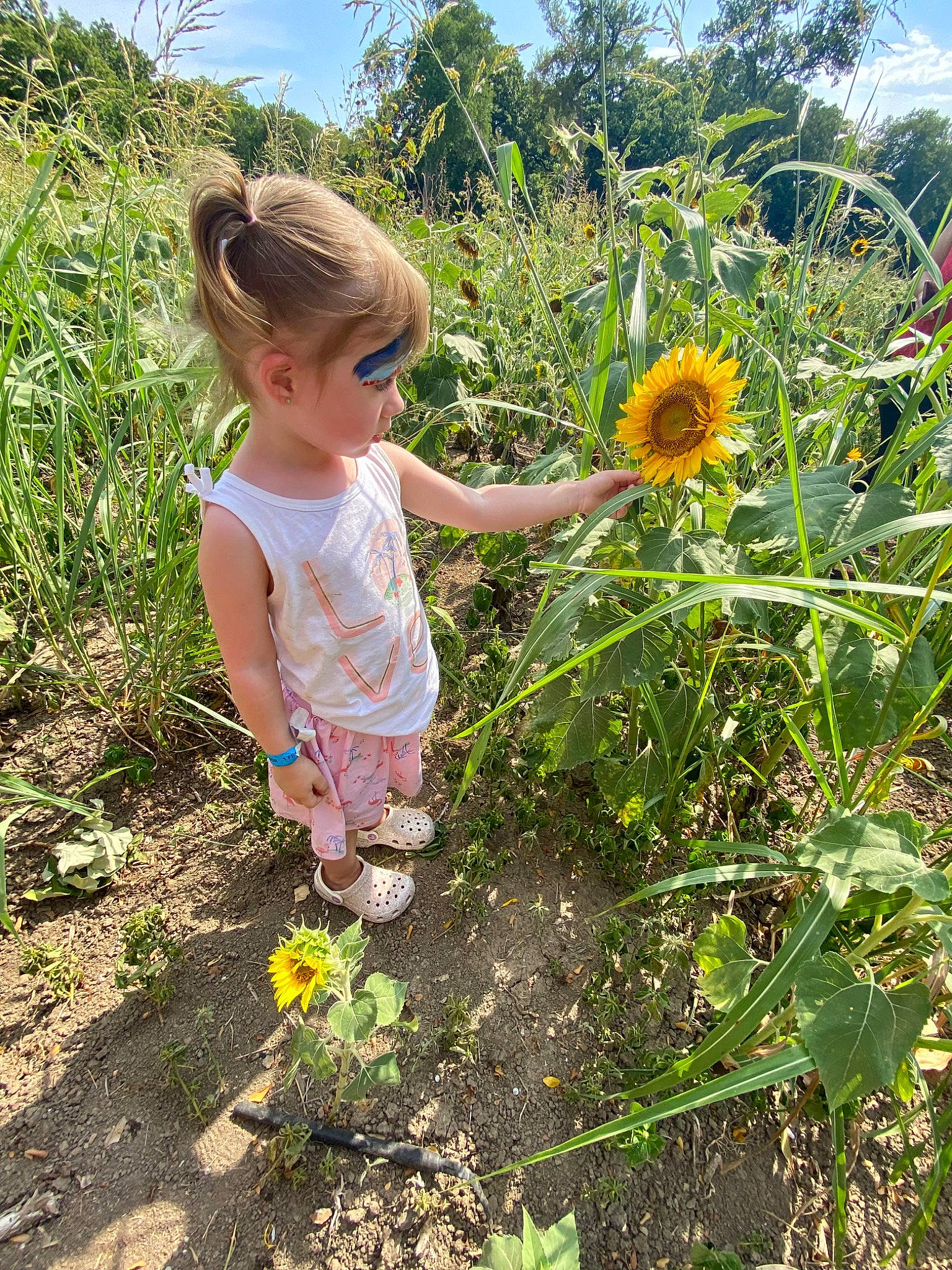 Olive is registered to the contest to win money with this photo: annual_plant, baby_toddler_clothing, botany, flower, flowering_plant, grass, groundcover, landscape, leaf, meadow, people_in_nature, person, petal, plant, sky, summer, sunflower, terrestrial_plant, toddler, tree
