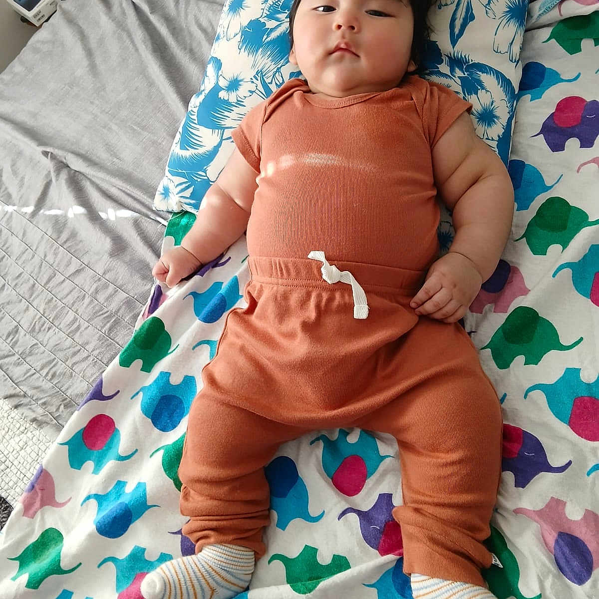 Samir Aaron Fermin is registered to the contest to win money with this photo: baby, bed, blanket, casual, child, clothing, cute, elephant_pattern, home, indoor, infant, person, pillow, portrait, relaxed, resting, sleepwear, socks, soft_lighting, young_child