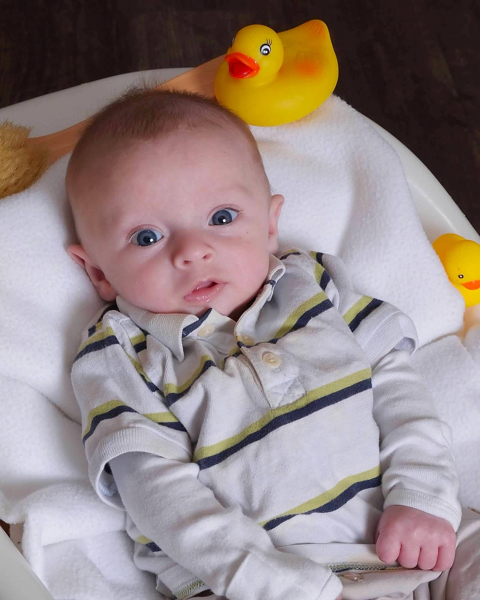 Boston joined the competition — help win amazing prizes! _geese_and_swans, baby, baby_toddler_clothing, bath_toy, cheek, child, collar, comfort, duck, ducks, happy, linens, person, product, rubber_ducky, sitting, skin, sleeve, textile, toddler