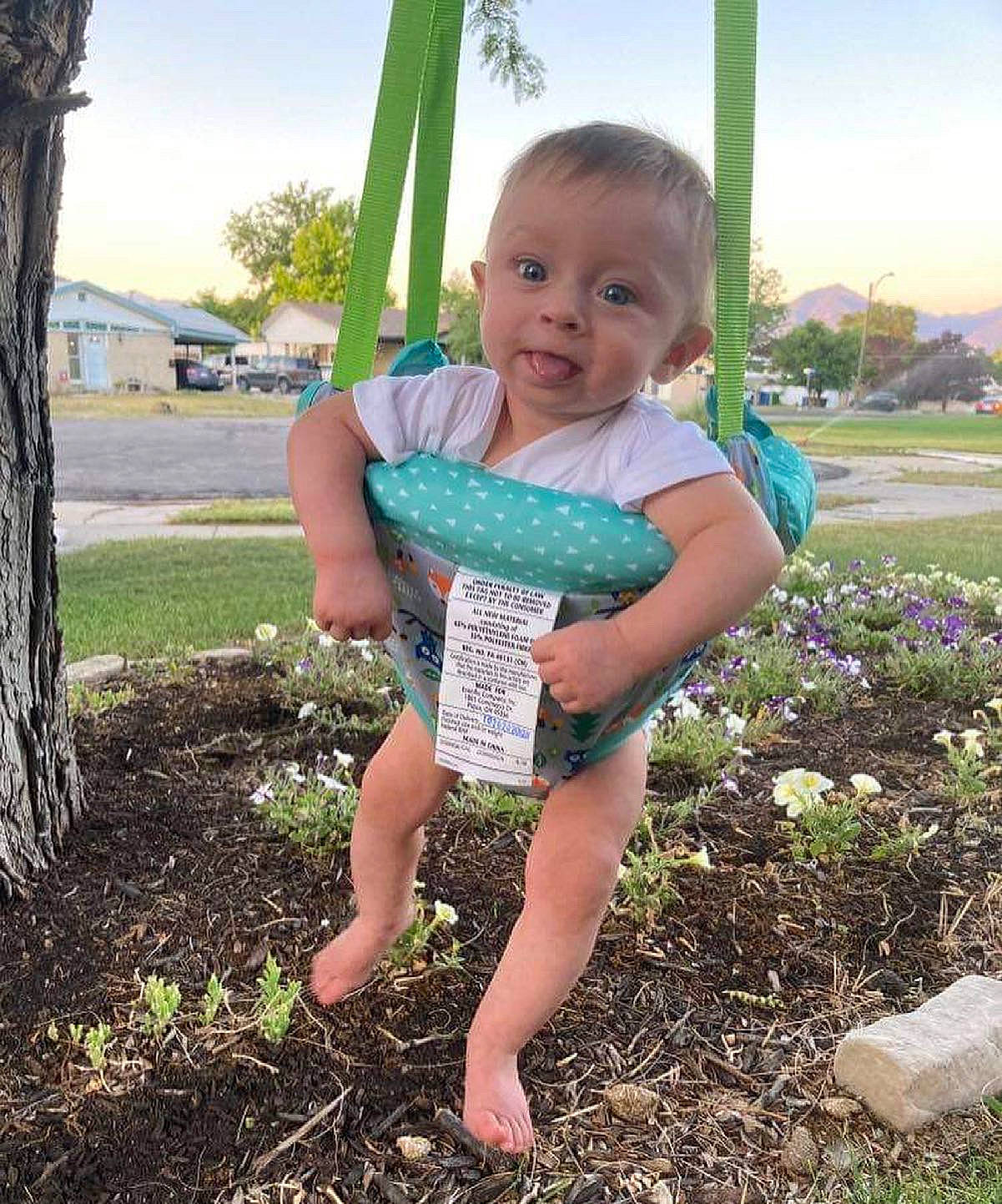 Boston is registered to the contest to win money with this photo: baby_toddler_clothing, botany, child, flower, fun, grass, grass_family, happy, lawn, leaf, leisure, people_in_nature, person, plant, sky, summer, sunlight, t_shirt, thumb, toddler