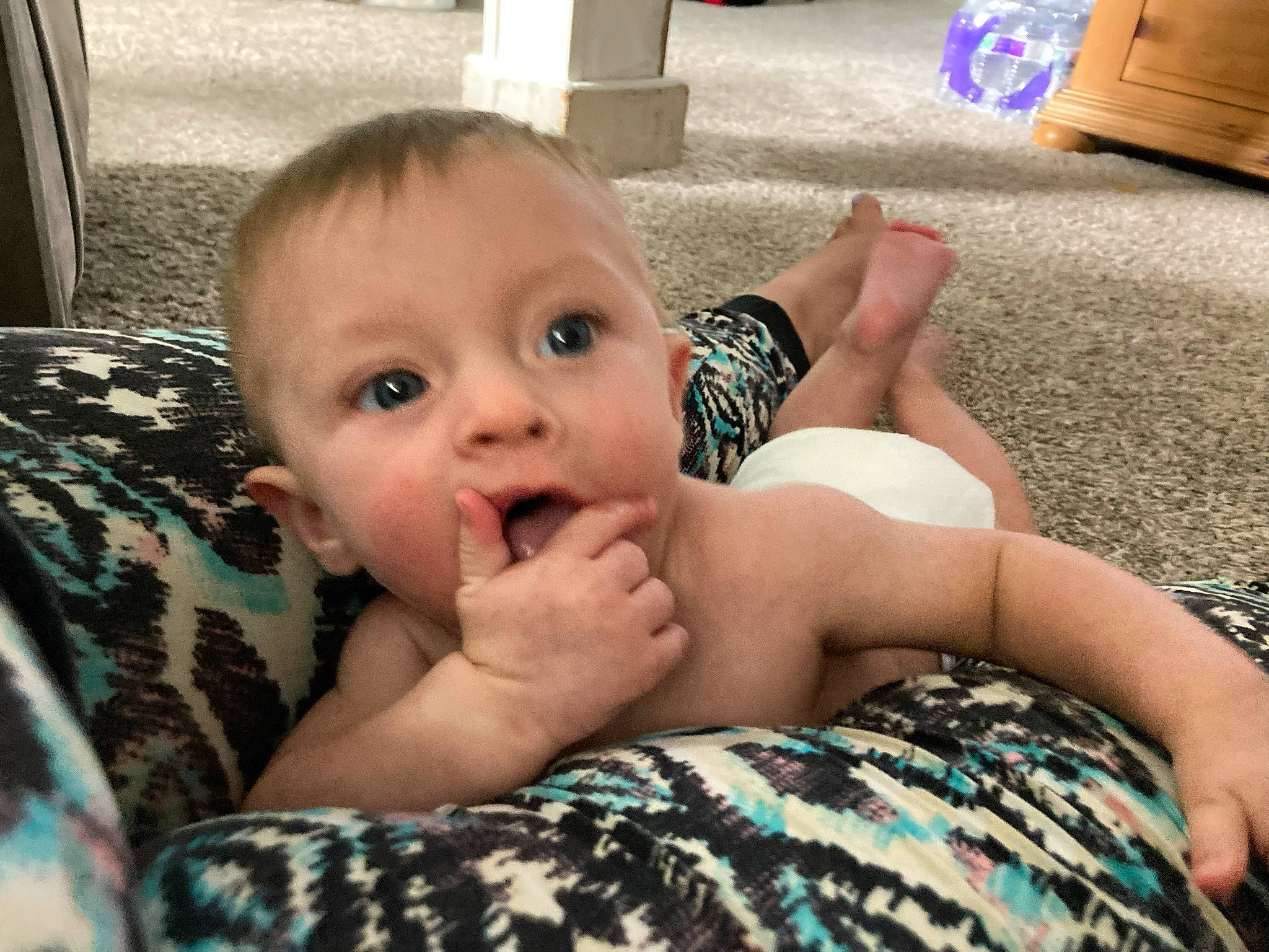 Boston joined the competition — help win amazing prizes! arm, comfort, couch, eye, face, gesture, glasses, grass, hair, hand, head, human, human_body, joint, leg, muscle, organ, person, shoulder, skin