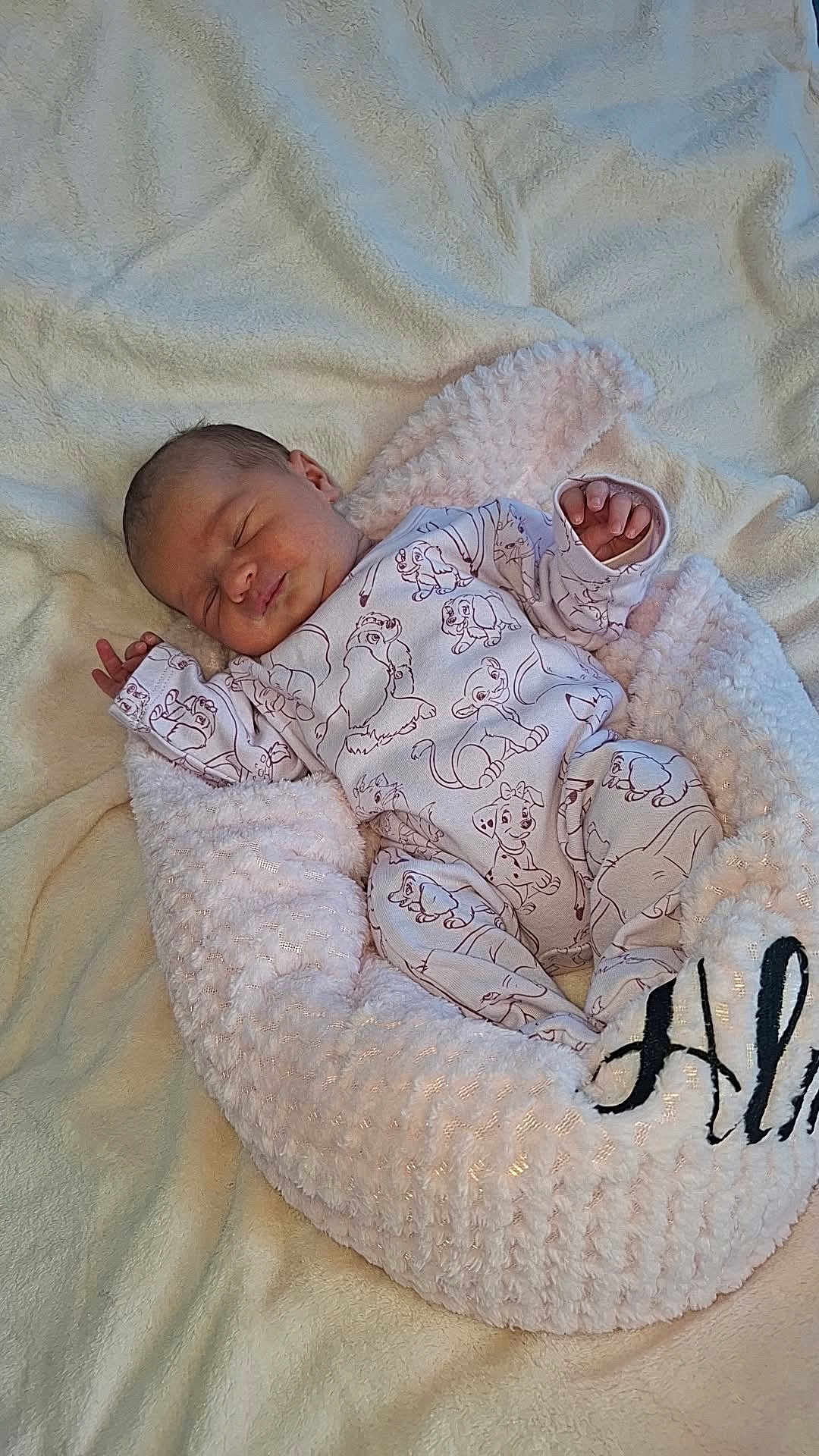 Alma participe au concours pour gagner de l'argent avec cette photo : baby, bed, blanket, cartoon_print, clothing, comfort, cozy, cute, fabric, indoors, infant, nest, newborn, onesie, peaceful, person, plush, resting, sleeping, soft