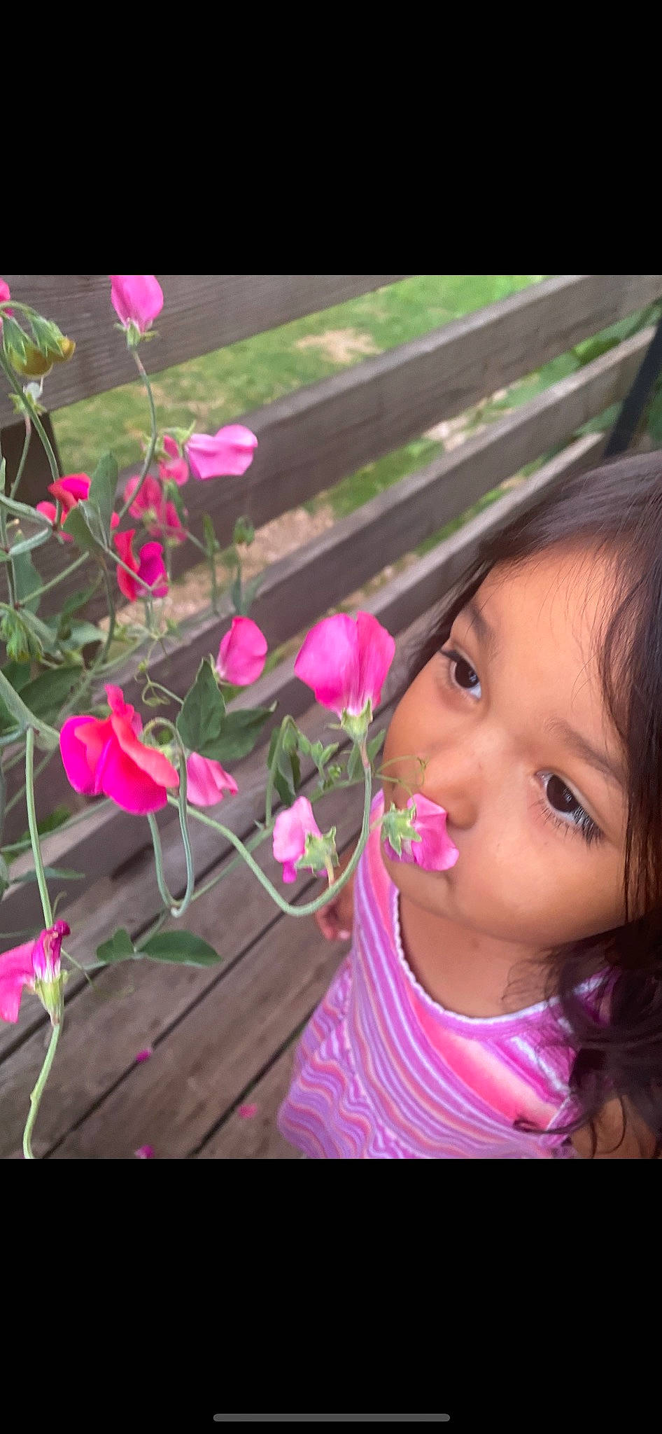 Lilah is registered to the contest to win money with this photo: annual_plant, beauty, botany, eyelash, flower, flowering_plant, grass, happy, herbaceous_plant, leaf, magenta, pedicel, person, petal, pink, plant, plant_stem, rose_family, smile, terrestrial_plant