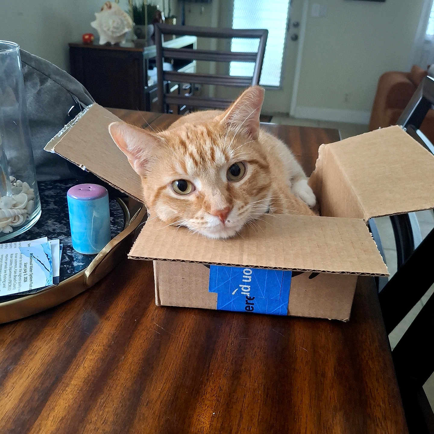 Garfie is registered to the contest to win money with this photo: cat, orange_tabby, feline, pet, animal, cardboard_box, box, indoors, dining_room, wooden_table, furniture, home, curious, peeking, striped_fur, green_eyes, whiskers, ears, portrait, packaging