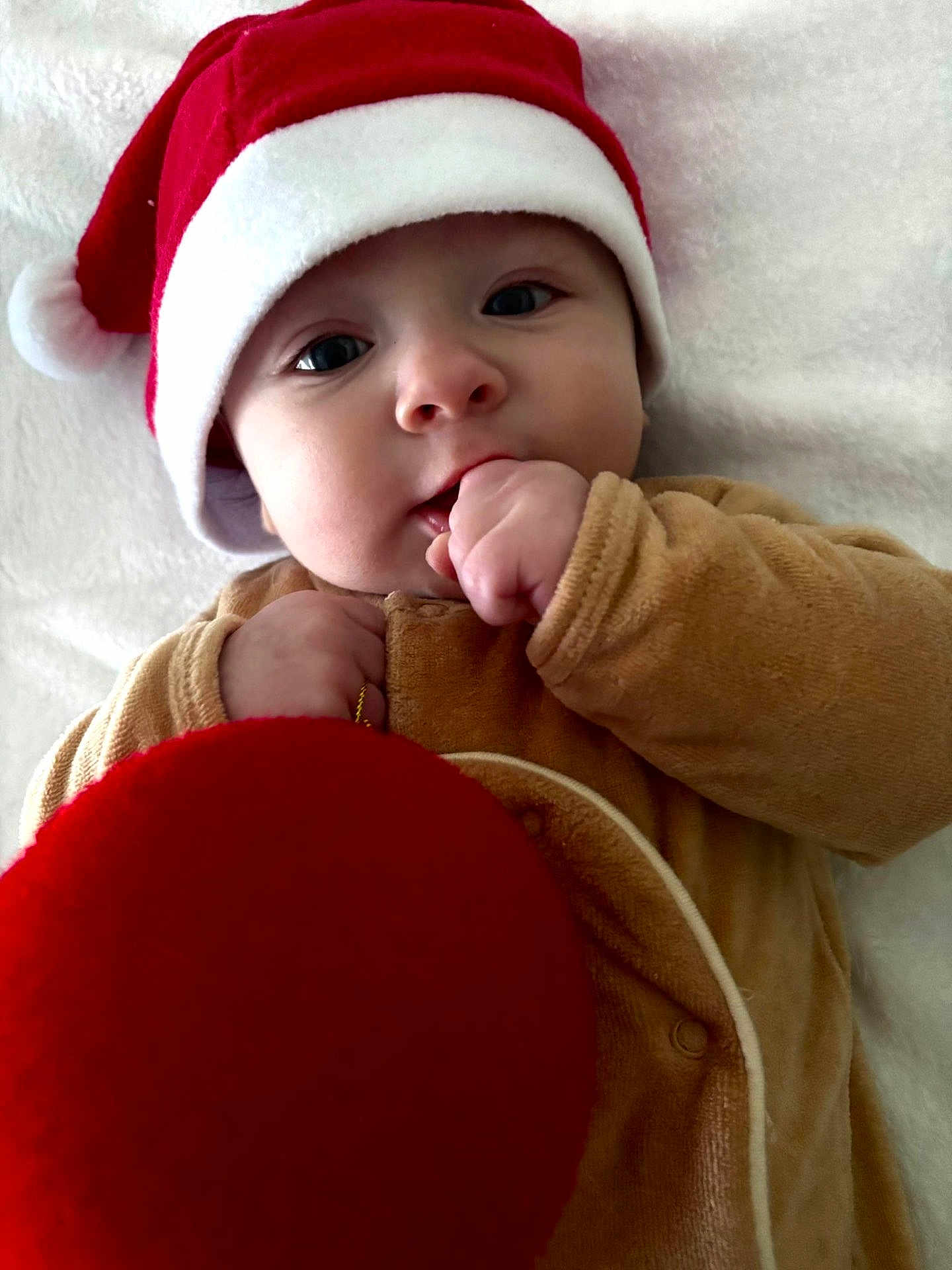 Liam participe au concours pour gagner de l'argent avec cette photo : baby, blanket, celebration, child, christmas_ornament, clothing, cozy, cute, face, festive, hand, holiday, indoor, infant, newborn, portrait, santa_hat, smiling, soft_texture, winter