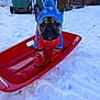 animal, blue_hat, booties, canine, cold_weather, cute, dog, french_bulldog, frozen_ground, hat, leash, outdoor, pet, red_jacket, red_sled, sled, snow, snow_booties, winter, winter_clothing