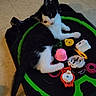 Eros participe au concours pour gagner de l'argent avec cette photo : kitten, cat, toy_arena, spinning_tops, black_and_white, playful, indoor, floor, pet, curious, small, feline, animal, cute, paw, tail, colorful, plastic, relaxing, young