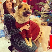 Pucca a rejoint le concours — aidez-le/la à gagner de superbes lots ! woman, dog, santa_hat, christmas, holiday, festive, red_sweater, green_dress, kneeling, indoor, decorations, christmas_tree, stockings, floor, bottle, playful, tongue_out, celebration, jewelry, smile