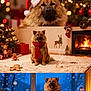 dog, christmas, holiday, santa_hat, scarf, fireplace, gingerbread, gift_box, snow, tree, decorations, cozy, winter, indoor, lights, festive, carpet, window, reindeer, smiling