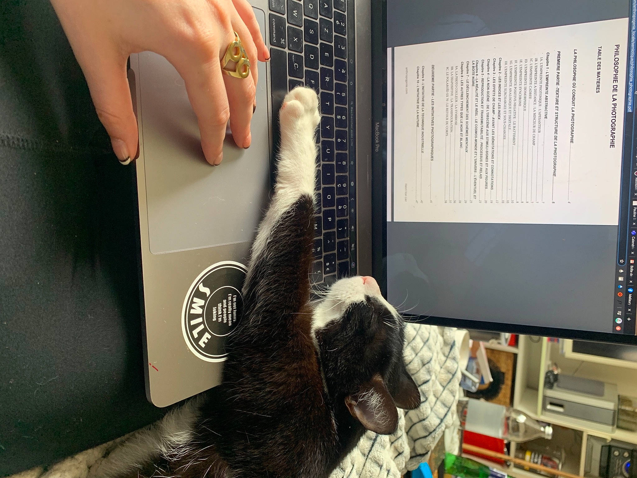 Daya a rejoint le concours — aidez-le/la à gagner de superbes lots ! claw, ear, finger, fur, glove, hand, nail, personal_computer, technology, wrist