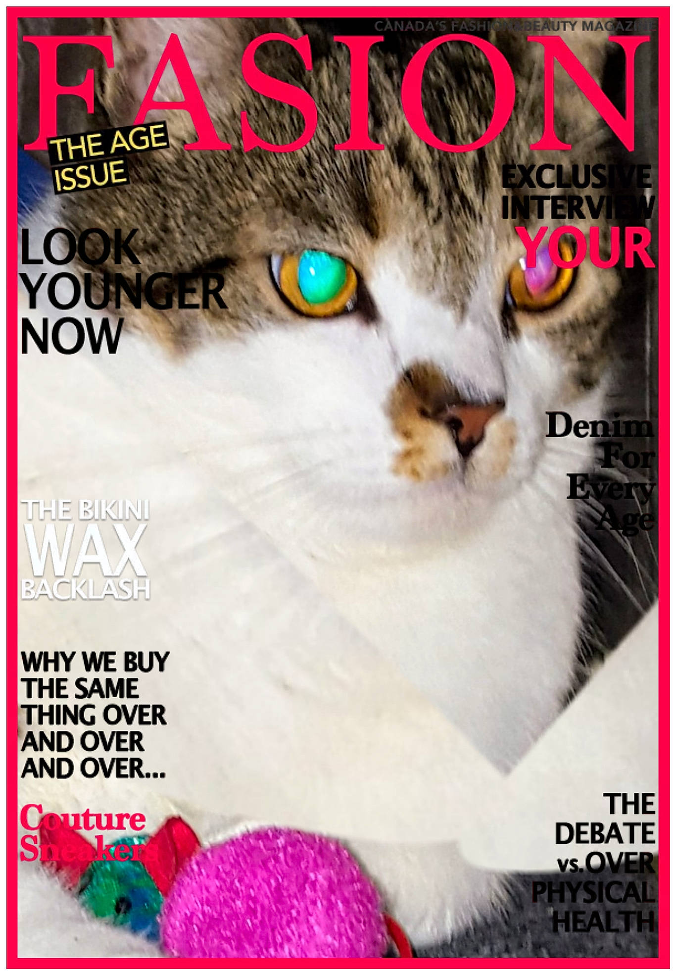Roady is registered to the contest to win money with this photo: advertising, art, carnivore, cat, cat_supply, eyelash, felidae, font, fur, graphic_design, graphics, internet_meme, magenta, organism, photo_caption, poster, publication, rectangle, small_to_medium_sized_cats, whiskers