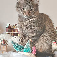 Grisouille a rejoint le concours — aidez-le/la à gagner de superbes lots ! cat, kitten, tabby, feline, miniature, village, winter, decorations, polar_bear, trees, snow, toy, figurine, pink_clothing, holiday, indoor, furry, cute, animal, cozy