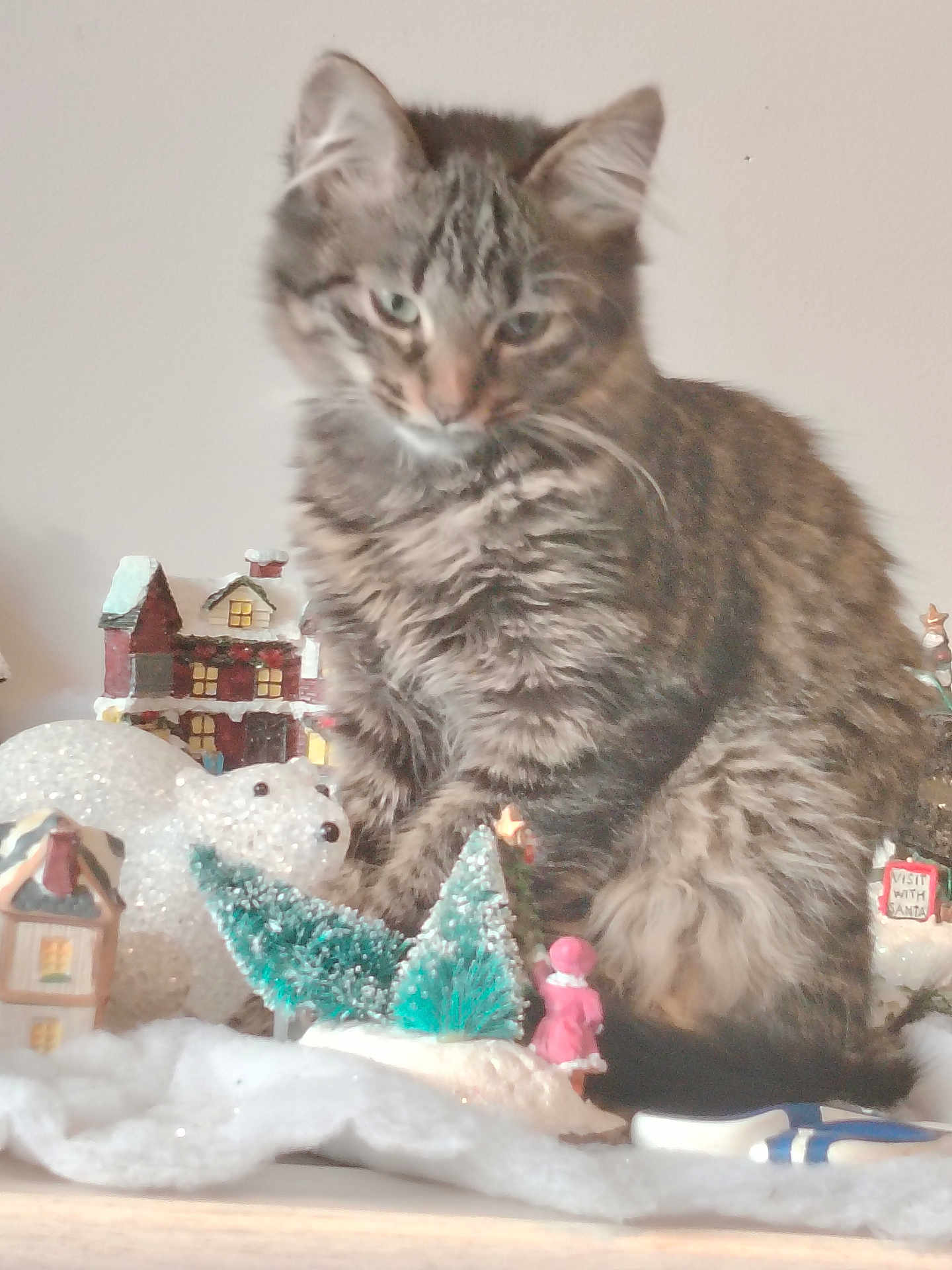 Grisouille a rejoint le concours — aidez-le/la à gagner de superbes lots ! cat, kitten, tabby, feline, miniature, village, winter, decorations, polar_bear, trees, snow, toy, figurine, pink_clothing, holiday, indoor, furry, cute, animal, cozy