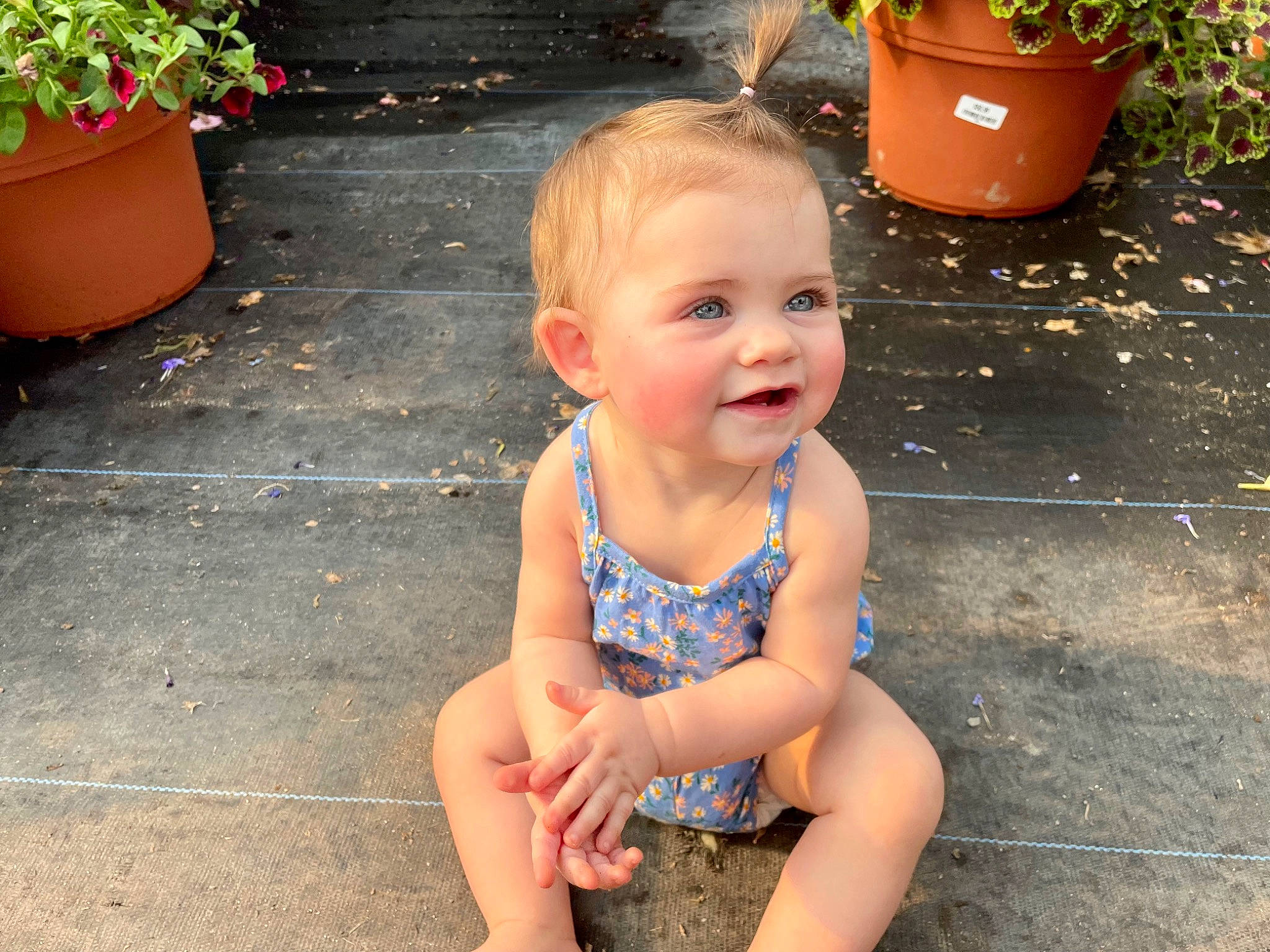 Reign Elizabeth is registered to the contest to win money with this photo: baby, baby_toddler_clothing, cheek, eye, face, flowerpot, grass, green, happy, head, houseplant, iris, joy, leaf, leisure, mouth, people_in_nature, person, plant, skin