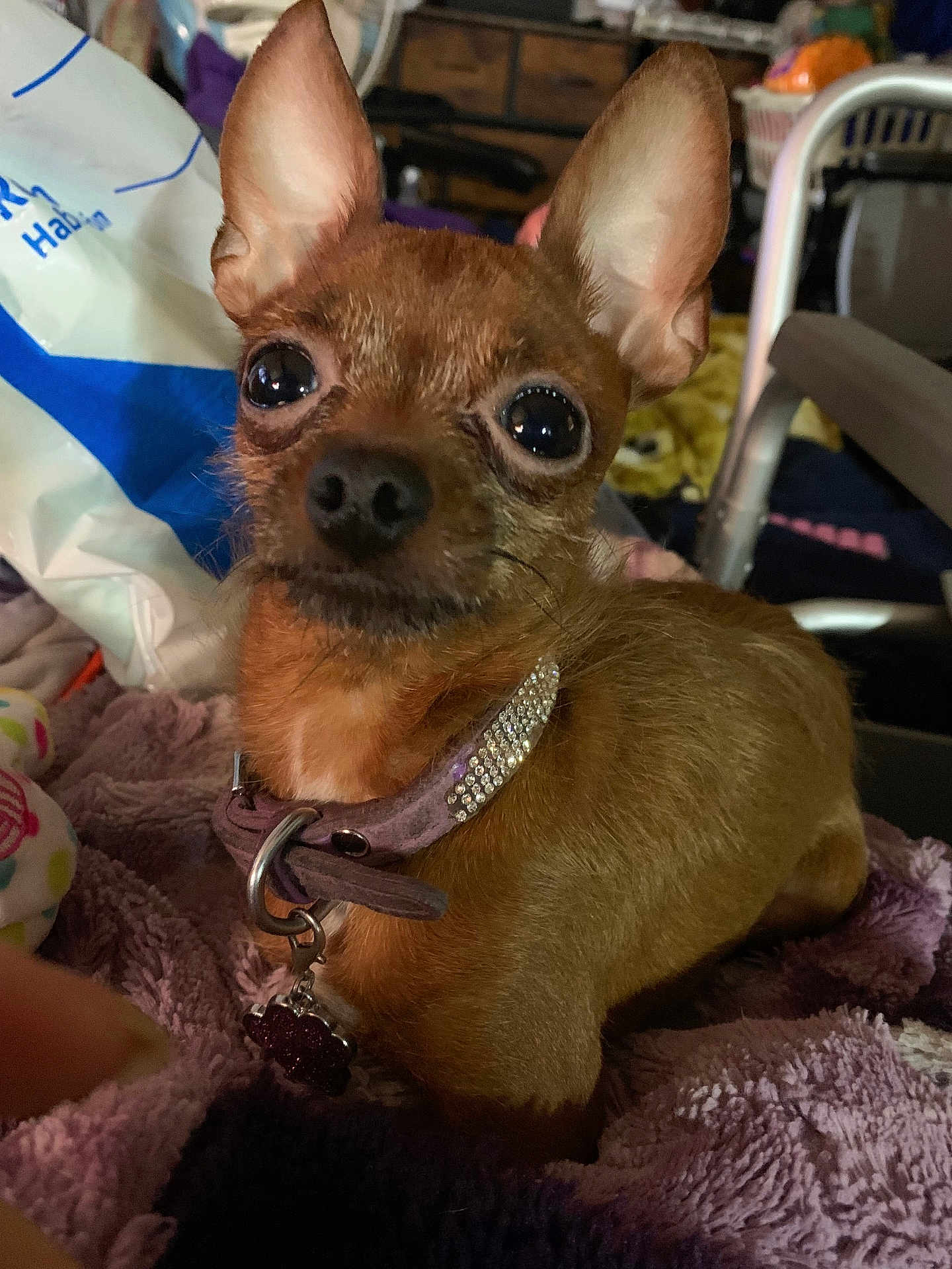 Tiny