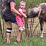 animal, baby, casual_clothing, child, curious, fence, footwear, grass, greenery, headband, holding, interaction, nature, outdoor, person, pet, pink_overalls, pony, summer, woman