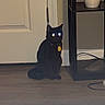 black_cat, cat, pet, indoor, floor, door, lamp, mushroom_lamp, furniture, sitting, glowing_eyes, shadow, wood_floor, shelf, collar, tag, night, reflection, animal, domestic_cat