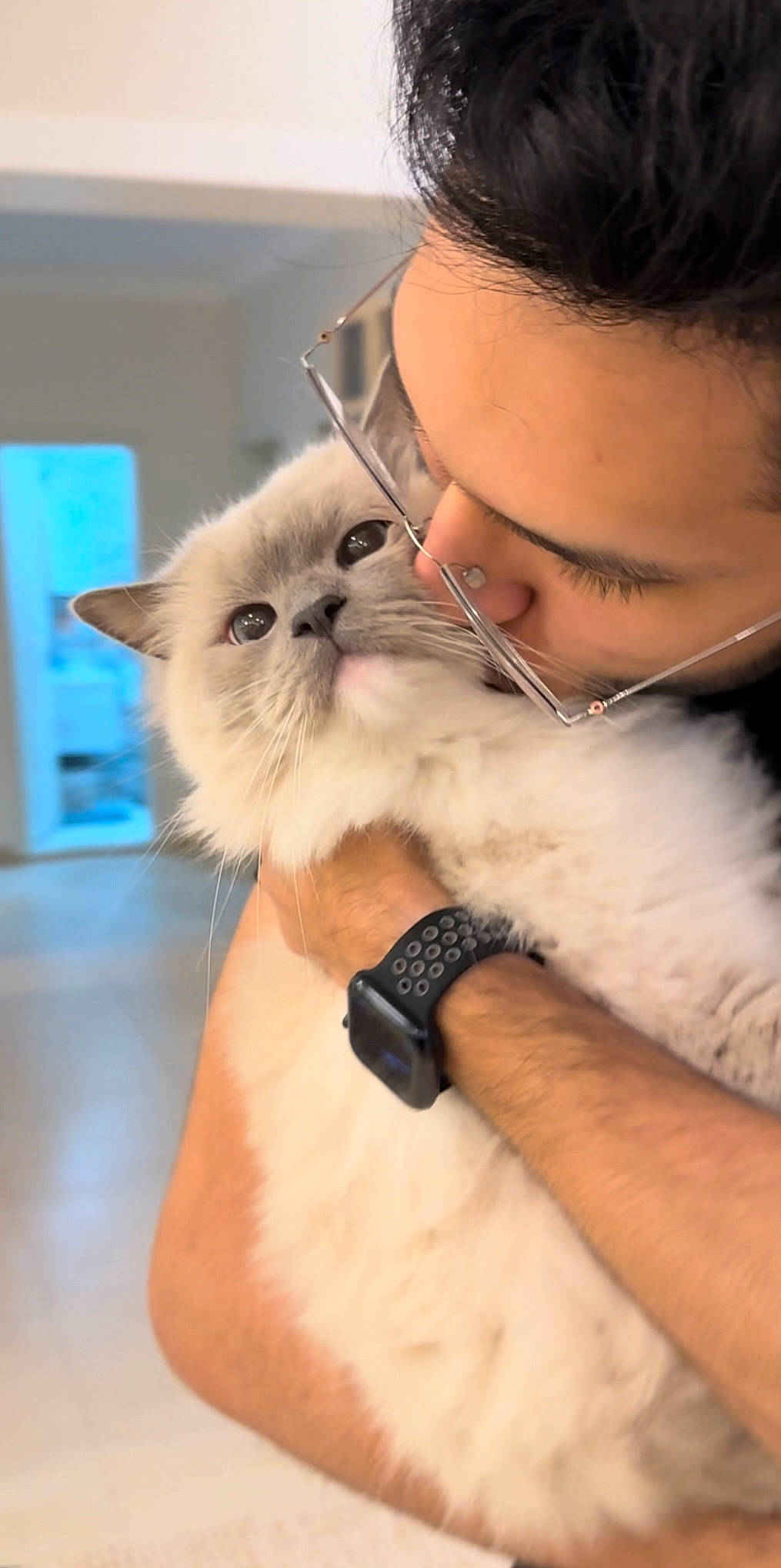 Olaf is registered to the contest to win money with this photo: abdomen, balinese, beard, birman, carnivore, cat, comfort, companion_dog, fashion_accessory, fawn, felidae, fur, gesture, moustache, small_to_medium_sized_cats, snout, tail, thai, watch, whiskers