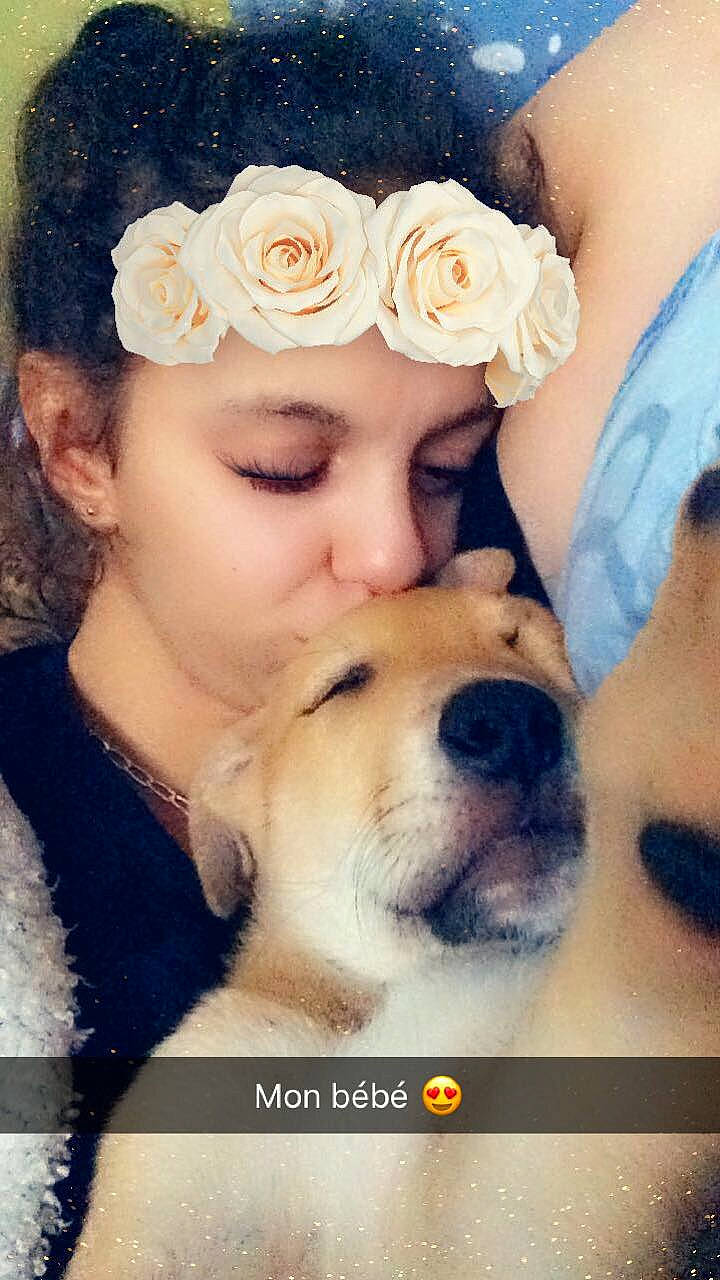 Goliath a rejoint le concours — aidez-le/la à gagner de superbes lots ! beauty, canidae, carnivore, cheek, child, companion_dog, dog, dog_breed, flower, fur, happy, love, nose, photography, puppy, puppy_love, selfie, smile, sporting_group