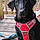 Axle
