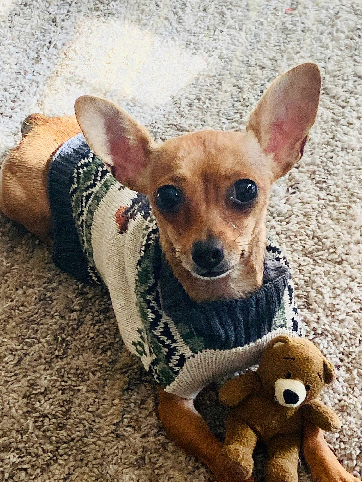 Daisy Lou