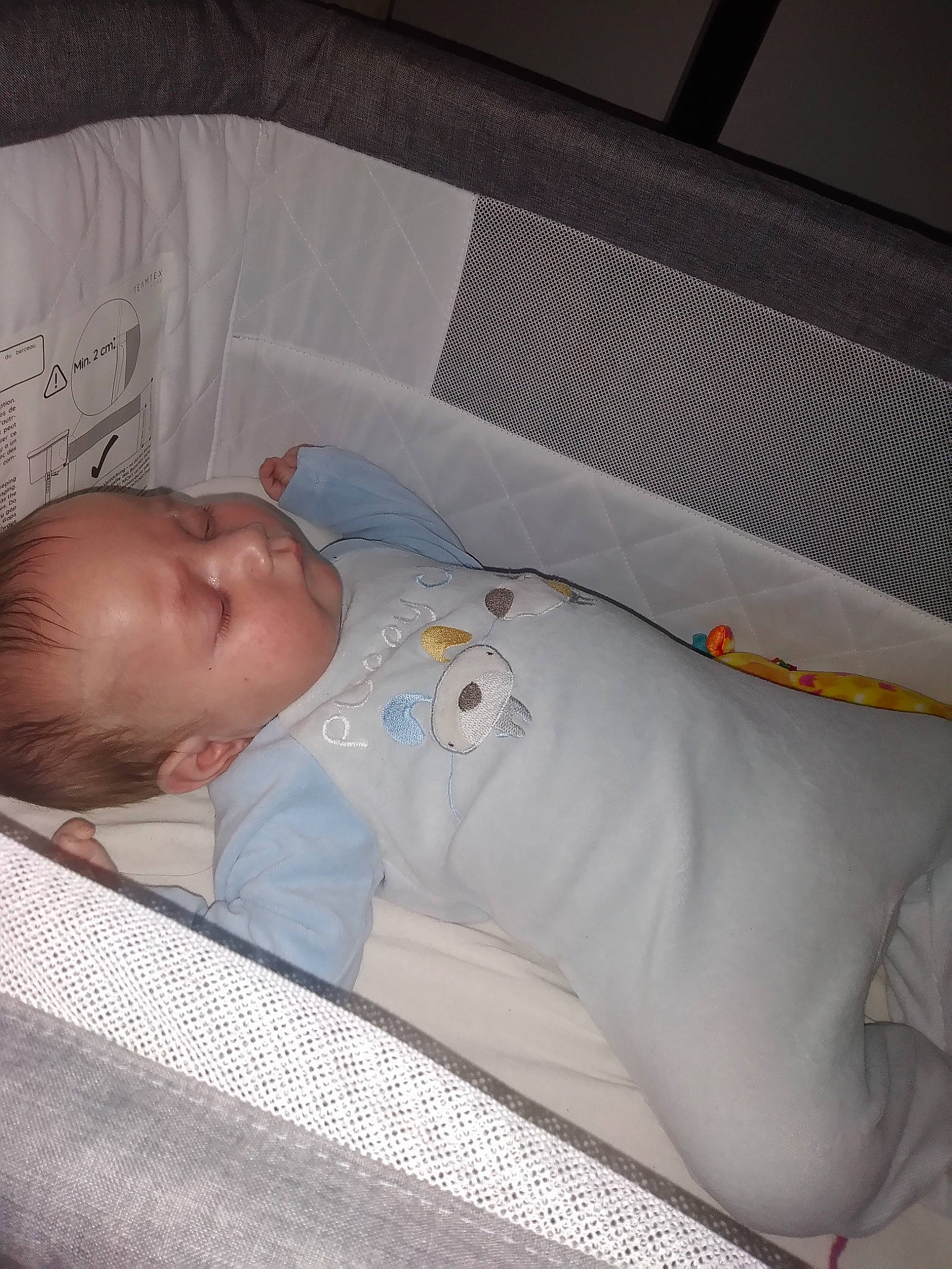 Jacques participe au concours pour gagner de l'argent avec cette photo : baby, baby_products, baby_safety, baby_sleeping, baby_toddler_clothing, bedding, bedtime, carmine, child, comfort, infant_bed, linens, nap, person, room, sleep, sleeve, textile, toddler