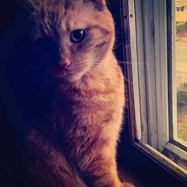 Belle is registered to the contest to win money with this photo: