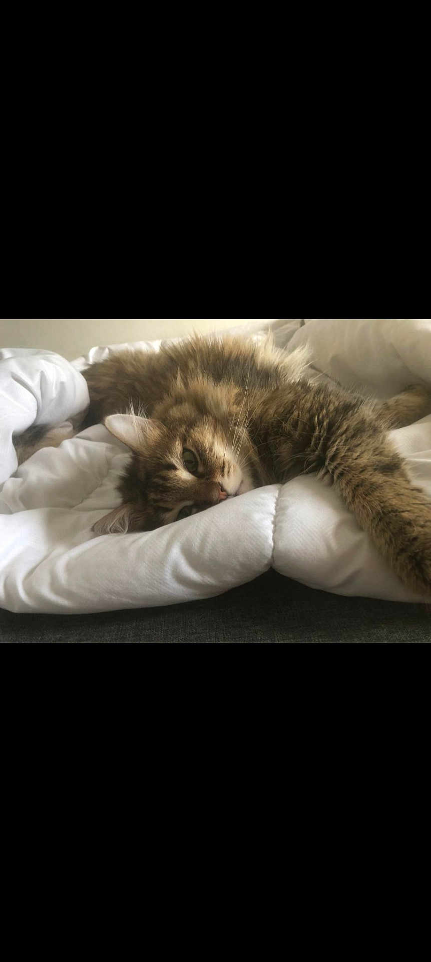 Prince