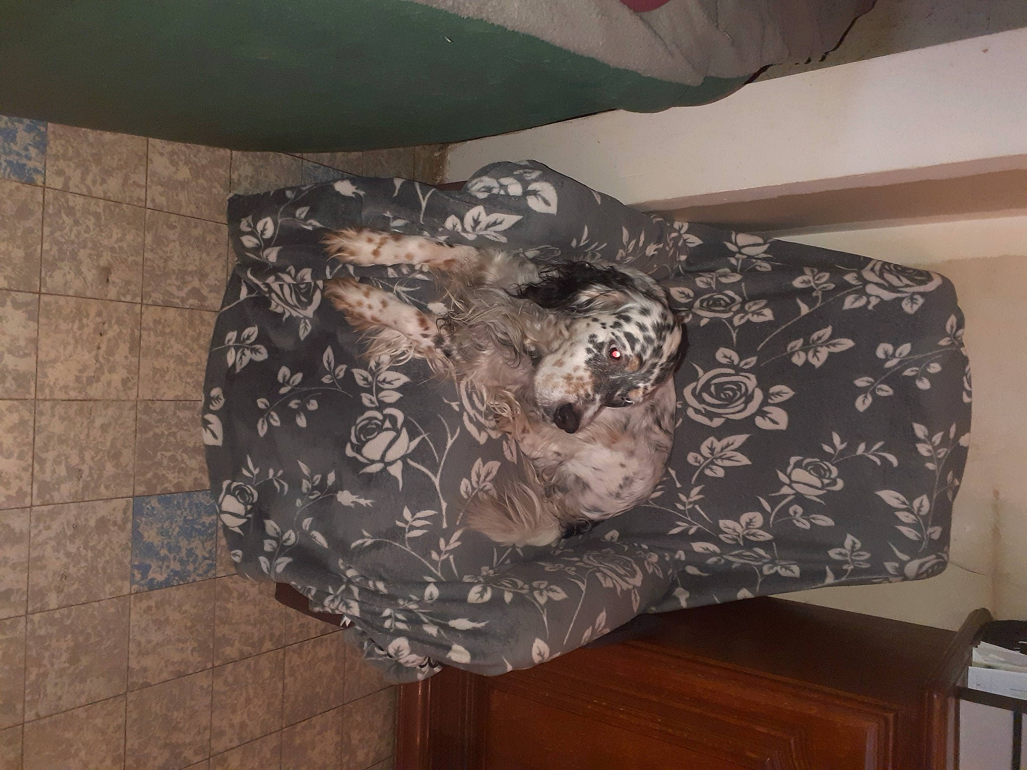 Hasko a rejoint le concours — aidez-le/la à gagner de superbes lots ! art, chair, comfort, couch, dress, floor, flooring, furniture, hardwood, house, linens, pattern, plant, sculpture, sleeve, stairs, textile, tints_and_shades, tree, wood