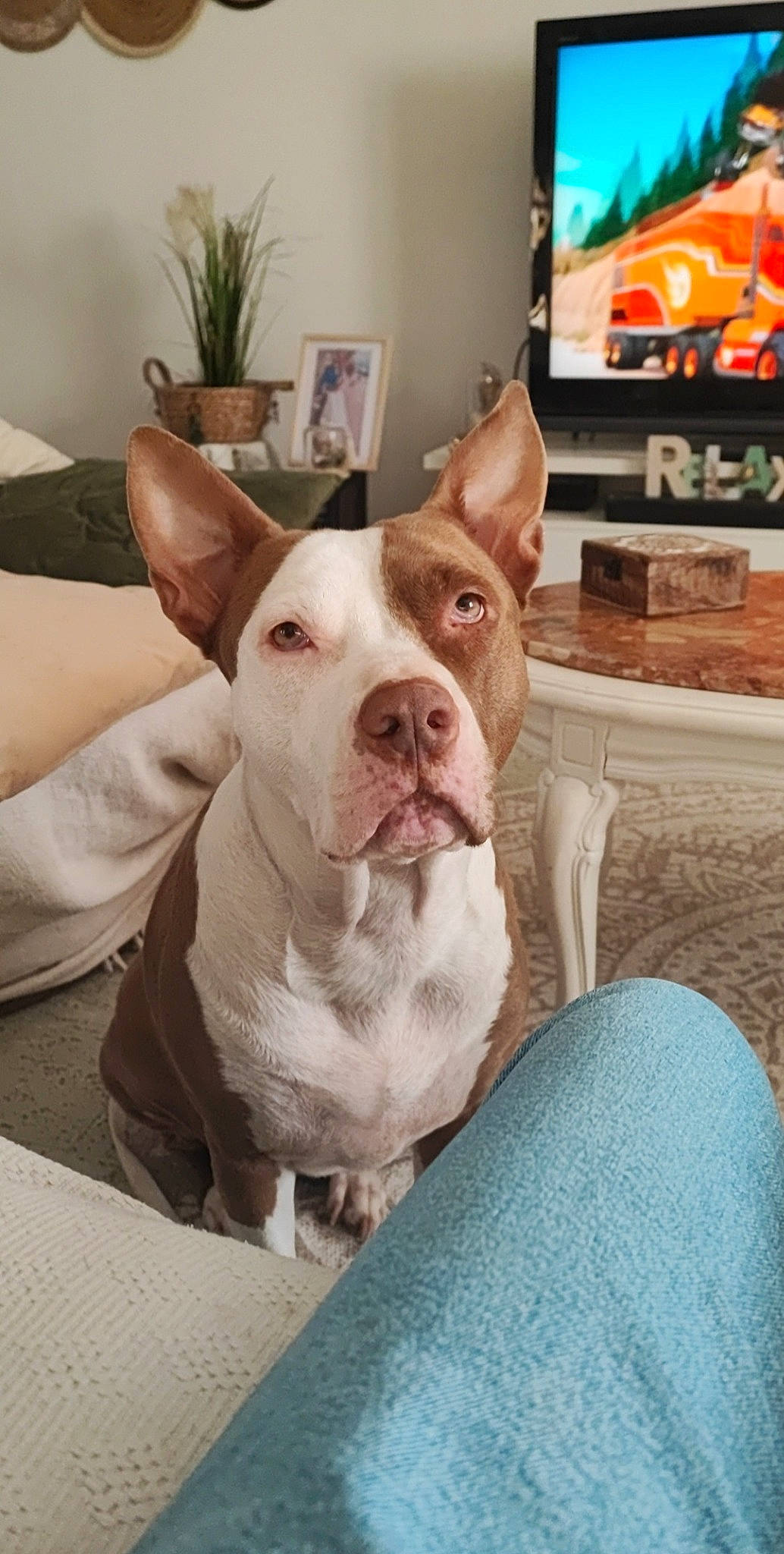Nalla