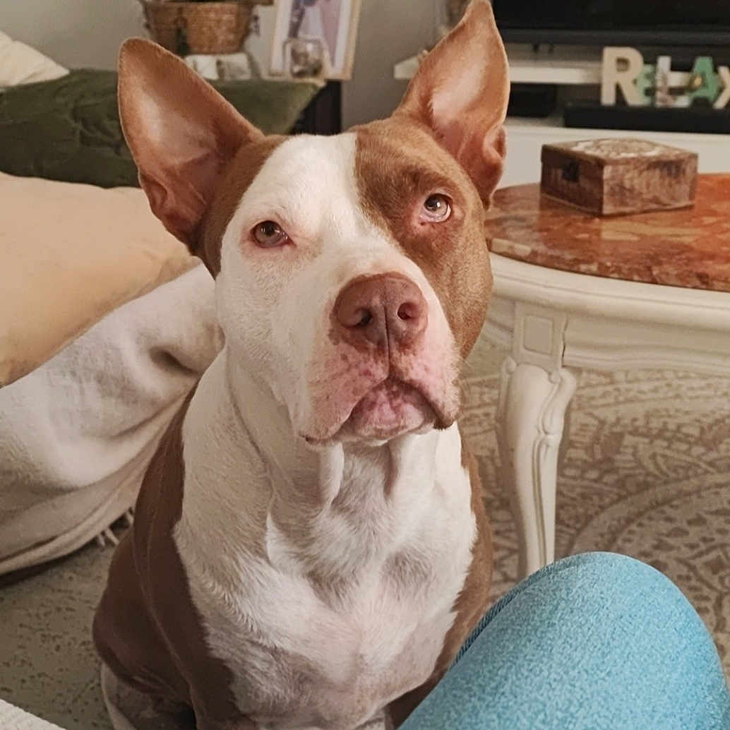 Nalla