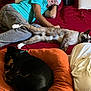 elderly_man, sleeping, bed, cat, siamese_cat, dog, black_dog, orange_cushion, pillow, red_bedspread, casual_clothing, relaxation, indoor, resting, feline, canine, pet, comfort, peaceful, home