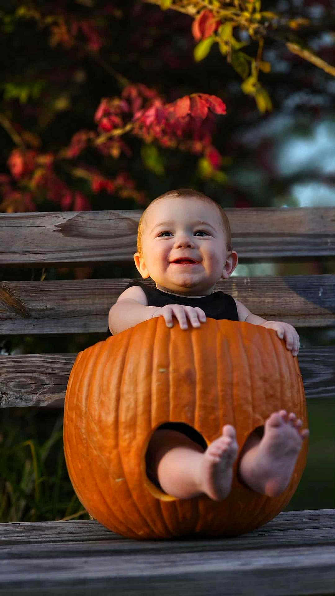 Walker is registered to the contest to win money with this photo: baby, pumpkin, bench, autumn, fall, carved_pumpkin, child, smiling, outdoor, feet, cute, holiday, seasonal, nature, wood, person, celebration, fun, holiday_costume, orange