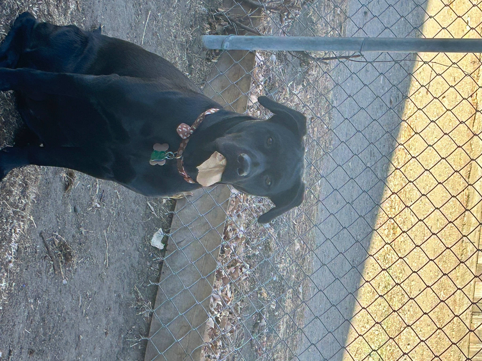 Isabella is registered to the contest to win money with this photo: art, auto_part, automotive_exterior, automotive_tire, automotive_wheel_system, bumper, chain_link_fencing, composite_material, fence, grey, line, mesh, road_surface, tints_and_shades, tire, tree, vehicle_door, water, wheel, wire_fencing