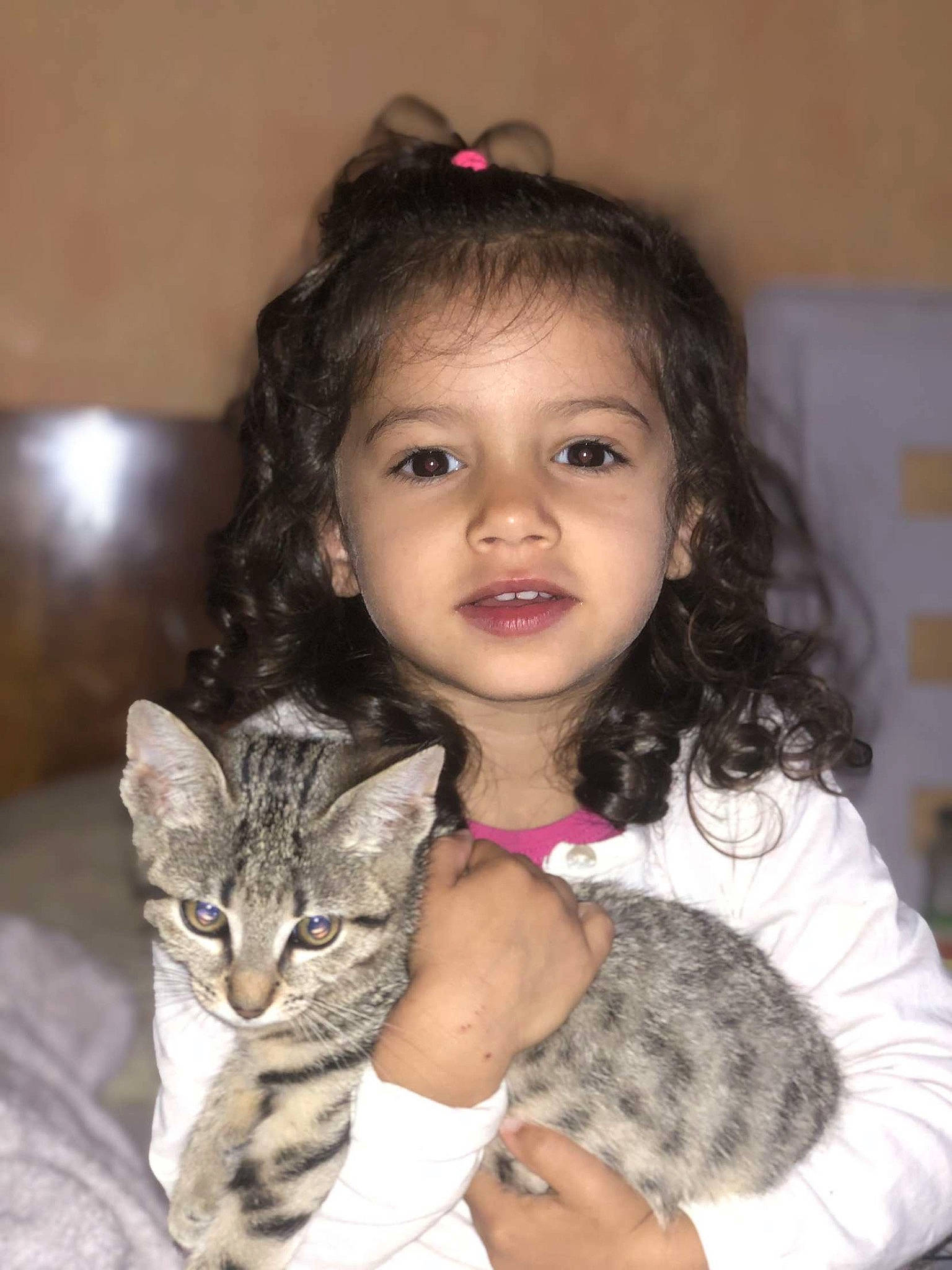 Liyah participe au concours pour gagner de l'argent avec cette photo : beauty, black_hair, carnivore, cat, cheek, child, eyebrow, eyelash, facial_expression, felidae, gesture, happy, iris, nose, organ, person, skin, small_to_medium_sized_cats, smile, toddler