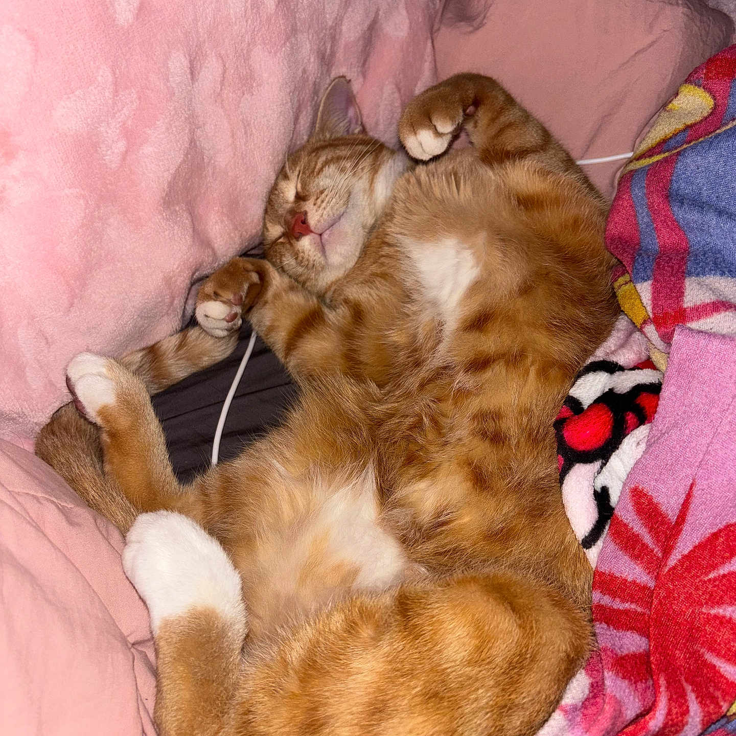 Milo